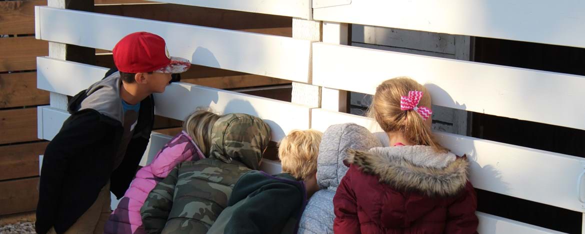 Children Looking At Castle's Shed